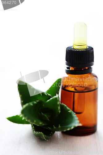 Image of aloe vera esential oil