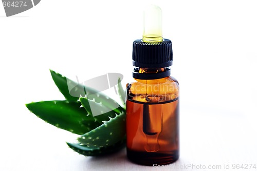 Image of aloe vera esential oil