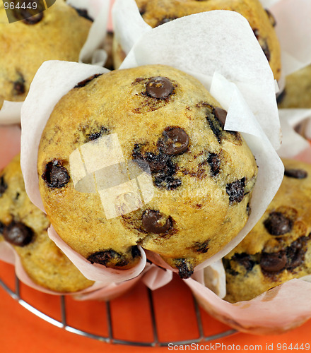 Image of Chocolate Muffin