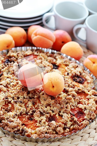 Image of apricot tart