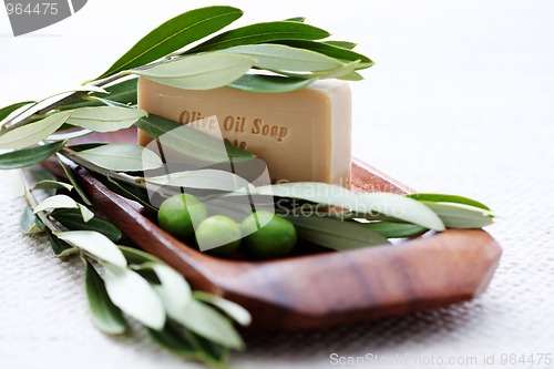 Image of olive oil soap