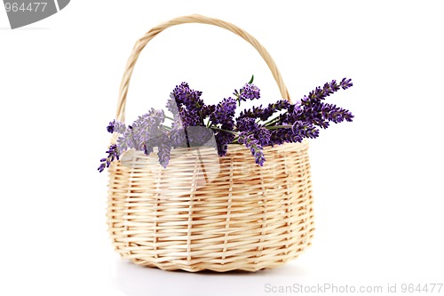 Image of basket with lavender flowers