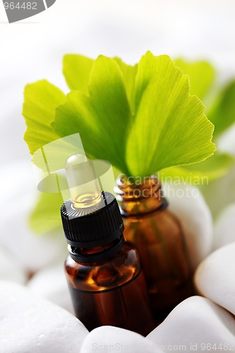 Image of ginko essential oil