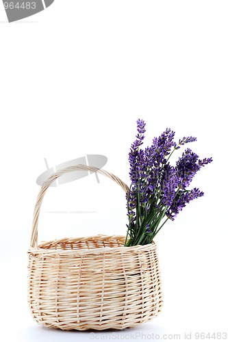 Image of basket with lavender flowers