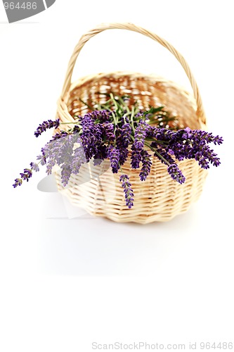 Image of basket with lavender flowers