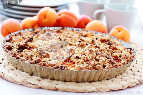 Image of apricot tart