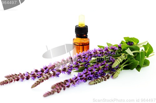 Image of sage essential oil
