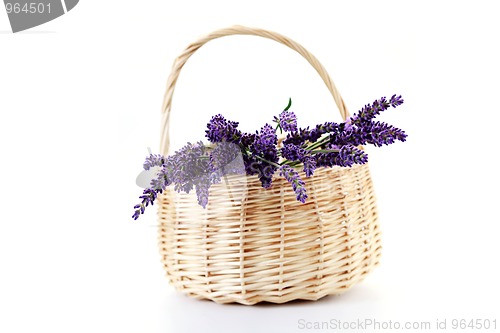 Image of basket with lavender flowers