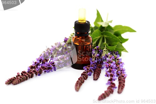 Image of sage essential oil