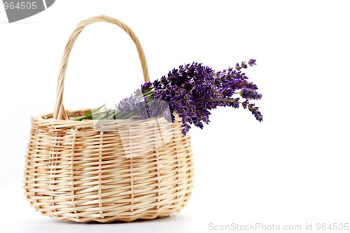 Image of basket with lavender flowers