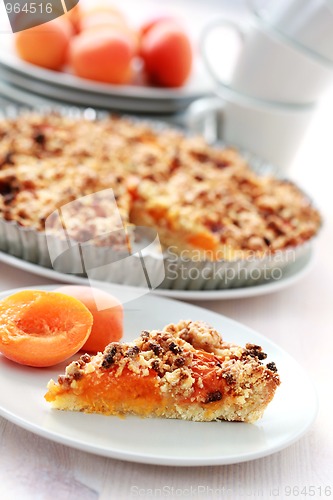 Image of apricot tart