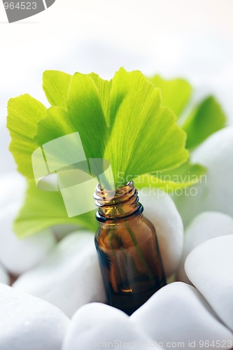 Image of ginko essential oil