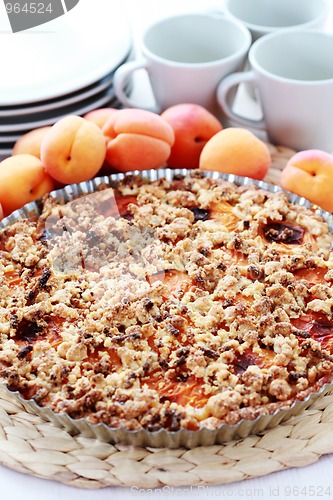 Image of apricot tart