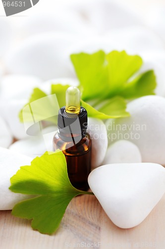 Image of ginko essential oil