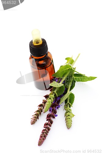 Image of sage essential oil