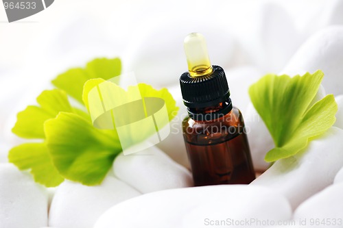 Image of ginko essential oil