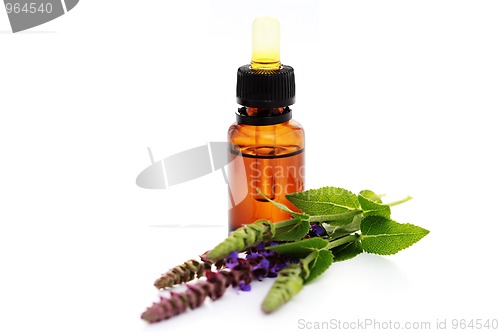 Image of sage essential oil