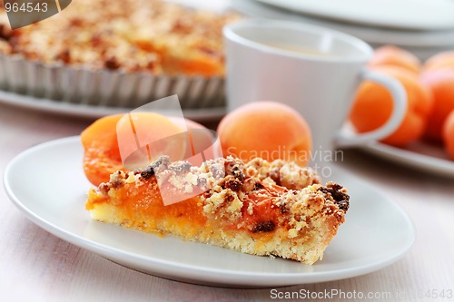 Image of apricot tart