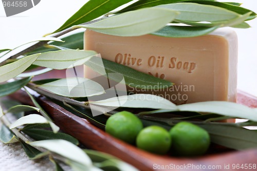 Image of olive oil soap
