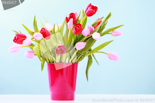 Image of tulips