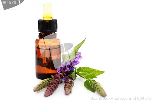 Image of sage essential oil