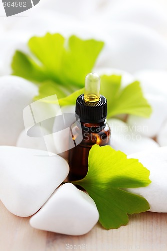 Image of ginko essential oil