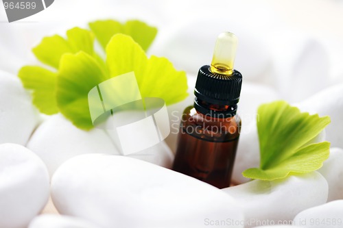 Image of ginko essential oil