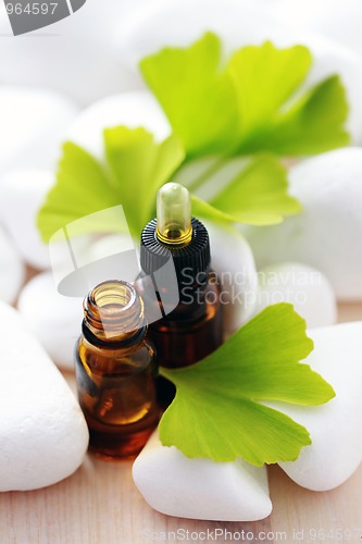 Image of ginko essential oil