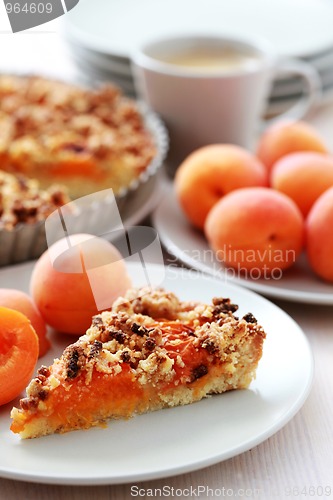 Image of apricot tart
