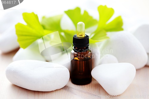 Image of ginko essential oil