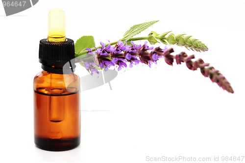 Image of sage essential oil