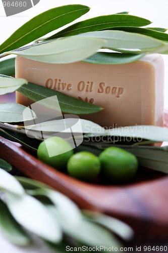 Image of olive oil soap