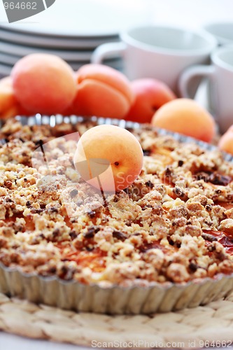 Image of apricot tart