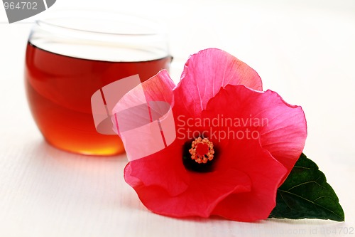 Image of hibiscus tea