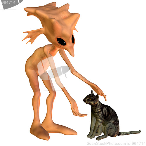 Image of Gnome with cat