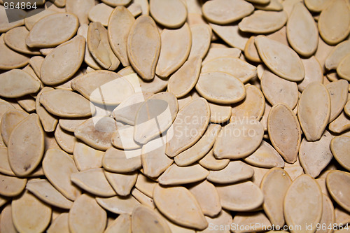 Image of Pumpkin seed 