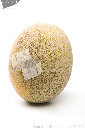 Image of persian melon patelquat