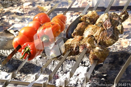 Image of Shashlik