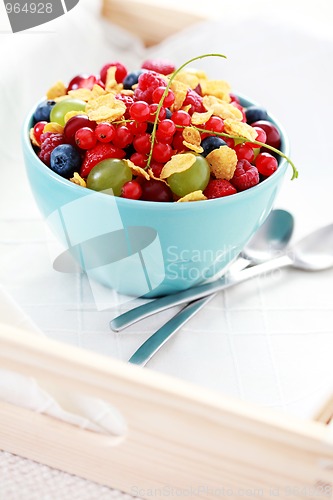 Image of bowl of fruits with cereals