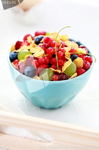 Image of bowl of fruits with cereals