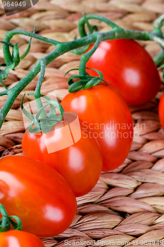 Image of fresh tomatoes bunch