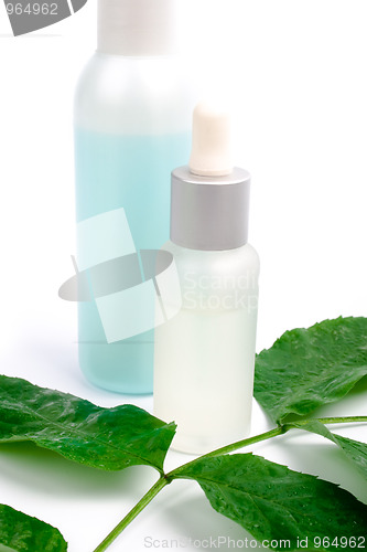 Image of cosmetics with green leaf 