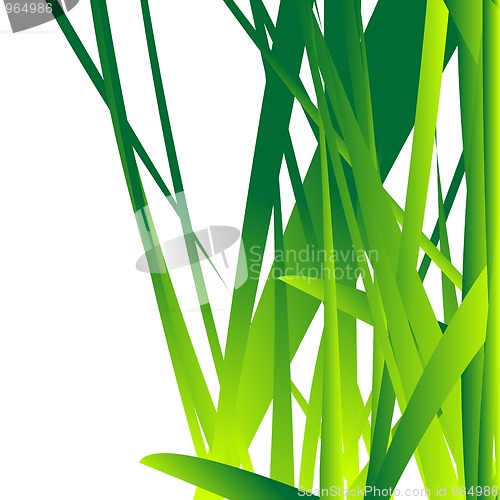Image of Fresh grass