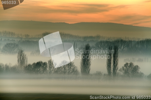 Image of Foggy field