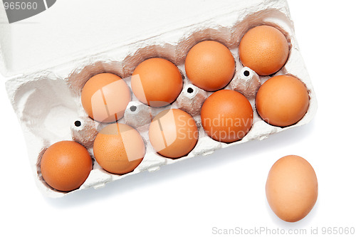 Image of Eggs