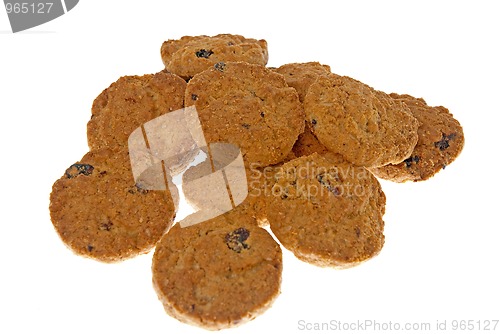Image of Cocoa chocolate cookies