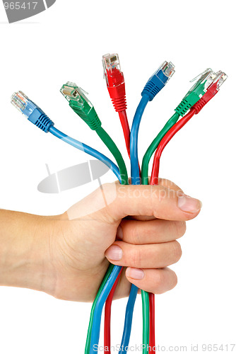 Image of Bunch of different colored patch-cords gripped in fist