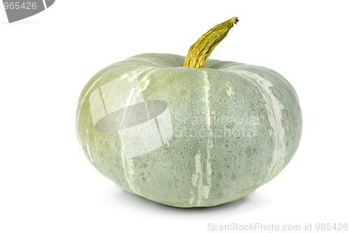Image of Unripe green pumpkin