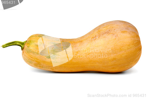 Image of Calabash pumpkin