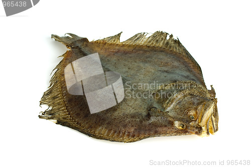 Image of Dried flatfish